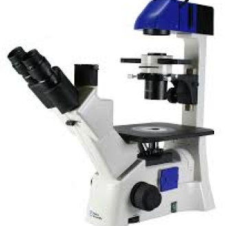 Fisher Scientific Inverted Infinity and Phase Contrast Microscope Model 11-350-119