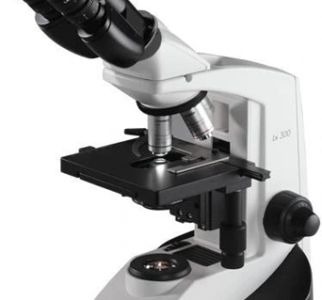 Labomed Lx300 Binocular Microscope